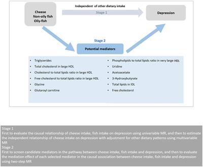 Association between cheese and fish consumption and the occurrence of depression based on European population: mediating role of metabolites